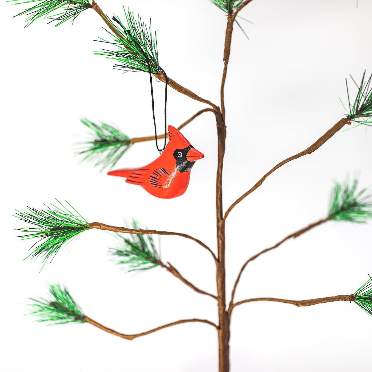 Backyard Birds Ornament Collection