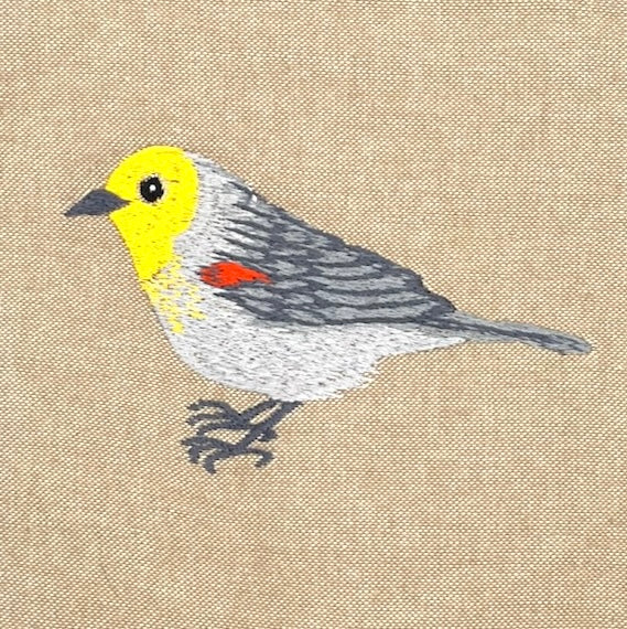 Verdin Field Bag