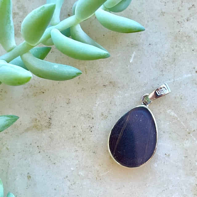 Idomeneus Giant Owl Butterfly Pendant