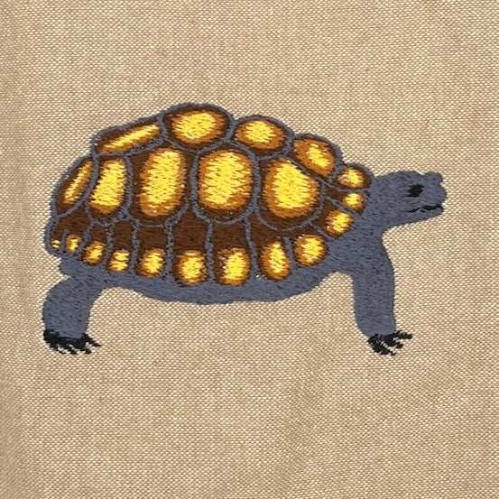 Desert Tortoise Field Bag