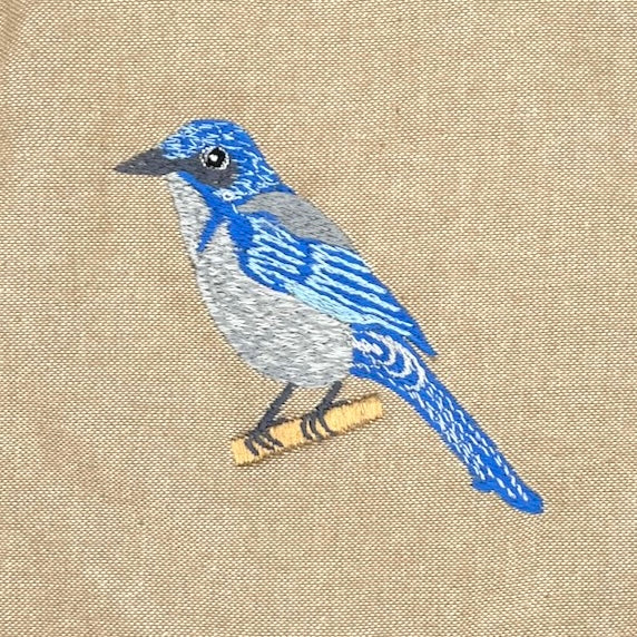 Florida Scrub Jay Field Bag