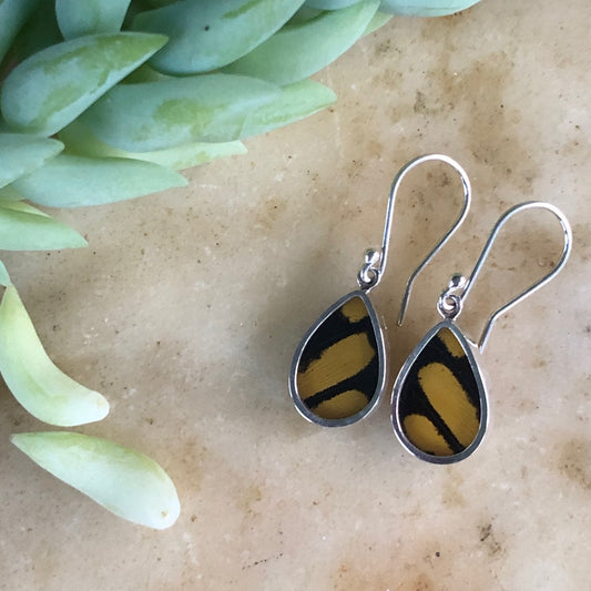 King Swallowtail Butterfly Earrings