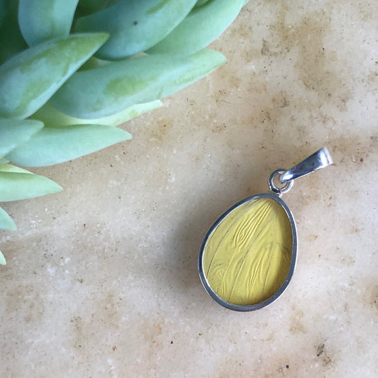 Orange-barred Sulphur Butterfly Pendant